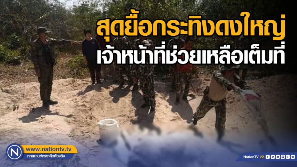 สุดยื้อชีวิตกระทิงดงใหญ่ หลังเจ้าหน้าที่พยายามช่วยเหลือเต็มที่