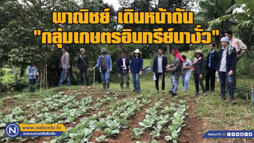 พาณิชย์ เดินหน้าผลักดัน "กลุ่มเกษตรอินทรีย์นางั่ว"