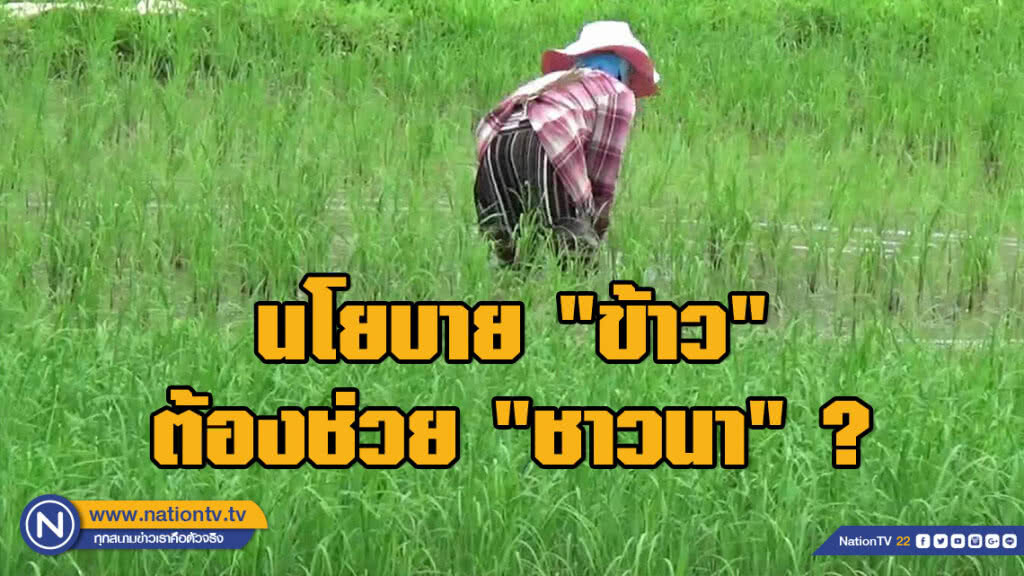 พปชร.ออกคลิปย้ำนโยบาย "ข้าว" ต้องช่วย "ชาวนา" พปชร.ออกคลิปย้ำนโยบาย "ข้าว" ต้องช่วย "ชาวนา"
