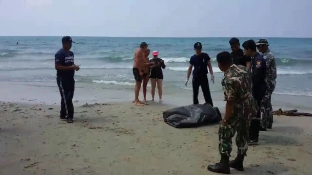 "โลมาหัวบาตร" เกยหาดเกาะช้างอีกแล้ว