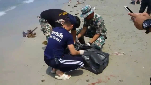 "โลมาหัวบาตร" เกยหาดเกาะช้างอีกแล้ว