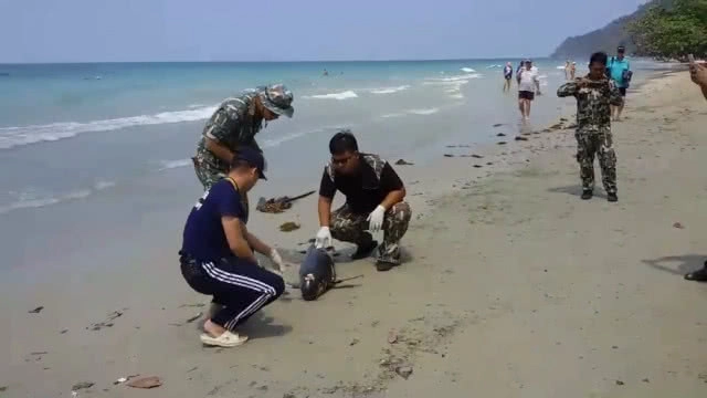 "โลมาหัวบาตร" เกยหาดเกาะช้างอีกแล้ว