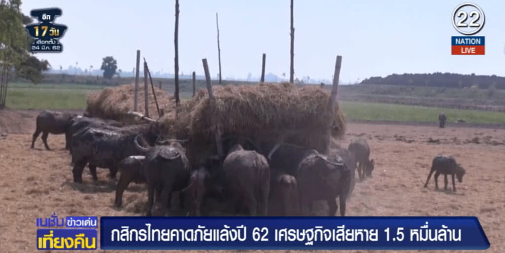 (คลิปข่าว) คาดภัยแล้งปีนี้ เศรษฐกิจเสียหาย 1.5 หมื่นล้าน (คลิปข่าว) คาดภัยแล้งปีนี้ เศรษฐกิจเสียหาย 1.5 หมื่นล้าน
