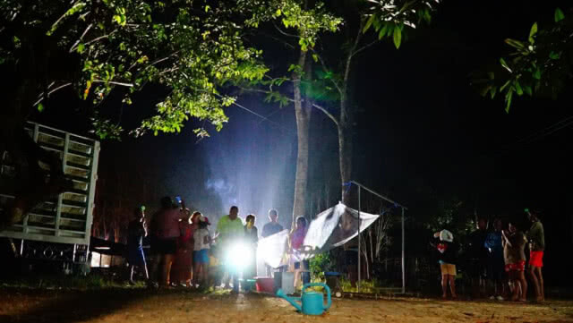 พบต้นสะตอมีน้ำฝนโปรยลงมา สุดท้ายเป็นแค่ฉี่ของจั๊กจั่น แต่ชาวบ้านยังไม่ปักใจเชื่อ