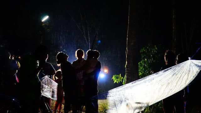 พบต้นสะตอมีน้ำฝนโปรยลงมา สุดท้ายเป็นแค่ฉี่ของจั๊กจั่น แต่ชาวบ้านยังไม่ปักใจเชื่อ