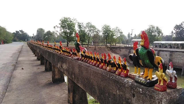 แปลกสะดุดตา "ไก่พระนเรศวร" ตั้งเต็มราวสะพานสองฝั่ง