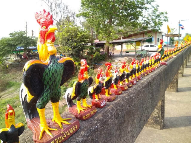 แปลกสะดุดตา "ไก่พระนเรศวร" ตั้งเต็มราวสะพานสองฝั่ง