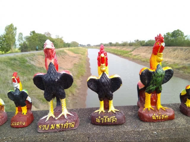 แปลกสะดุดตา "ไก่พระนเรศวร" ตั้งเต็มราวสะพานสองฝั่ง