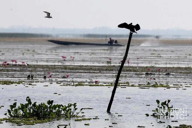 บ่อน้ำศักดิ์สิทธิ์บ้านแหลมบ่อท่อ หนึ่งเดียวในสงขลา ที่ใช้ในพระราชพิธีบรมราชาภิเษก ร. 10