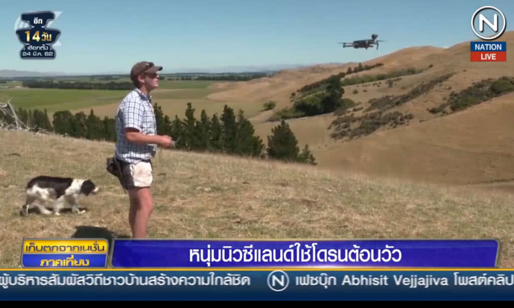 (คลิปข่าว) หนุ่มชาวนิวซีแลนด์ ใช้โดรนต้อนวัวและแกะ (คลิปข่าว) หนุ่มชาวนิวซีแลนด์ ใช้โดรนต้อนวัวและแกะ