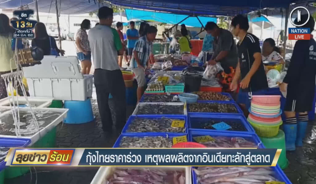 (คลิปข่าว) กุ้งไทยราคาร่วง เหตุผลผลิตจากอินเดียทะลักสู่ตลาด (คลิปข่าว) กุ้งไทยราคาร่วง เหตุผลผลิตจากอินเดียทะลักสู่ตลาด