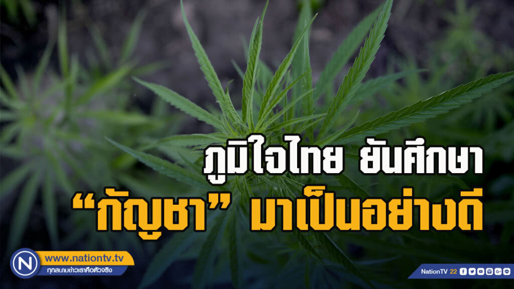 "ภูมิใจไทย" เปิดคลิป "ศักดิ์สยาม" ไขข้อข้องใจปลูกกัญชาเสรี ยัน ศึกษามาเป็นอย่างดี
