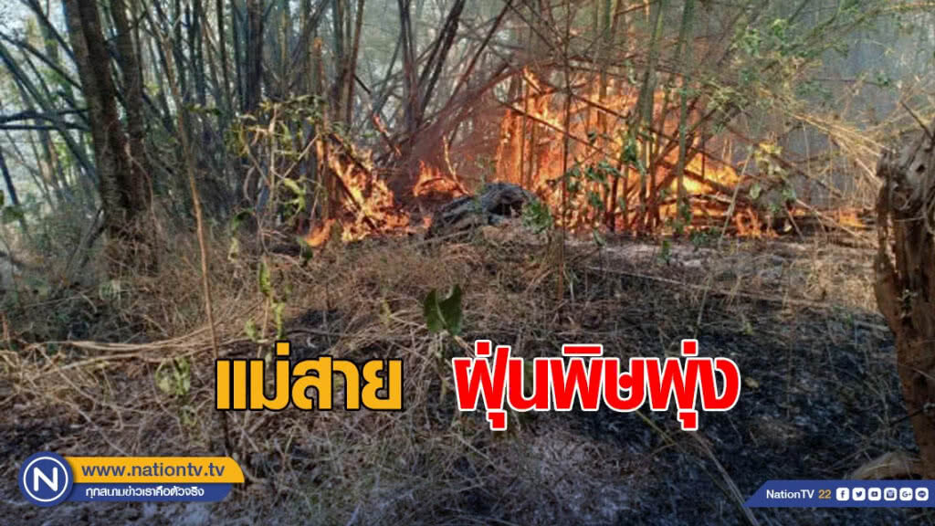 แม่สาย ฝุ่นพิษพุ่งกระทบสุขภาพ เร่งสกัดควันพิษข้ามแดน แม่สาย ฝุ่นพิษพุ่งกระทบสุขภาพ เร่งสกัดควันพิษข้ามแดน
