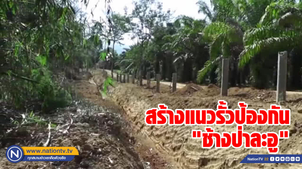 สร้างแนวรั้วป้องกัน "ช้างป่าละอู" พร้อมโป่งเทียมอาหารเสริม สร้างแนวรั้วป้องกัน "ช้างป่าละอู" พร้อมโป่งเทียมอาหารเสริม