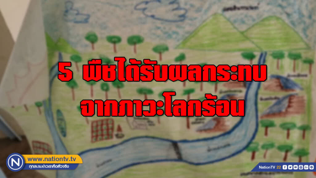 ชุมชนเครือข่ายสุขภาวะเผย​ 5​ พืชได้รับผลกระทบจากภาวะโลกร้อน