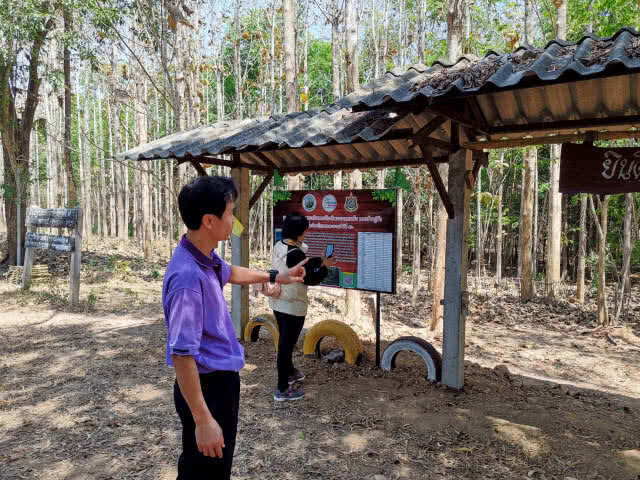 ทต.หงาว​ตั้งเป้าปลูกป่าชุมชน​ 700​ ไร่​ ปี​ 66 ดูดซับคาร์ไดออกไซด์​ล้านกิโลคาร์บอน