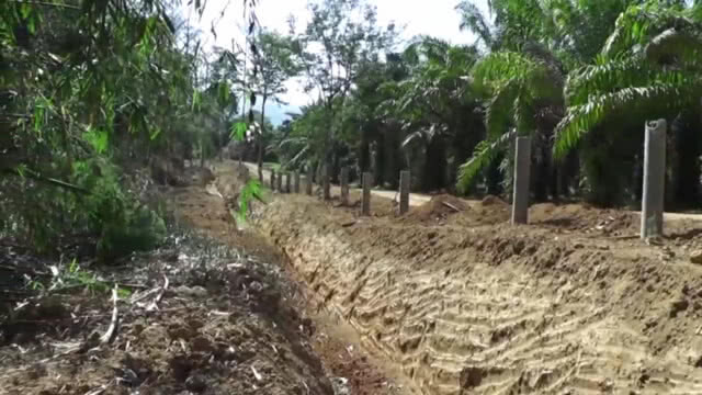 สร้างแนวรั้วป้องกัน "ช้างป่าละอู" พร้อมโป่งเทียมอาหารเสริม