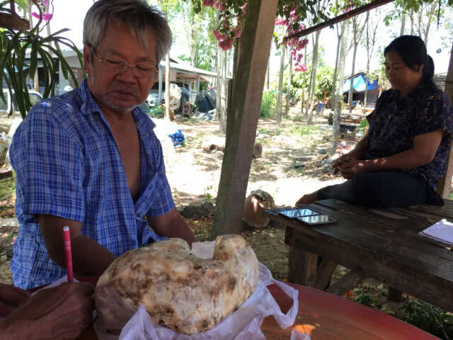 ชาวประมงเจอ "อำพันทะเล" มูลค่าหลายล้าน!!