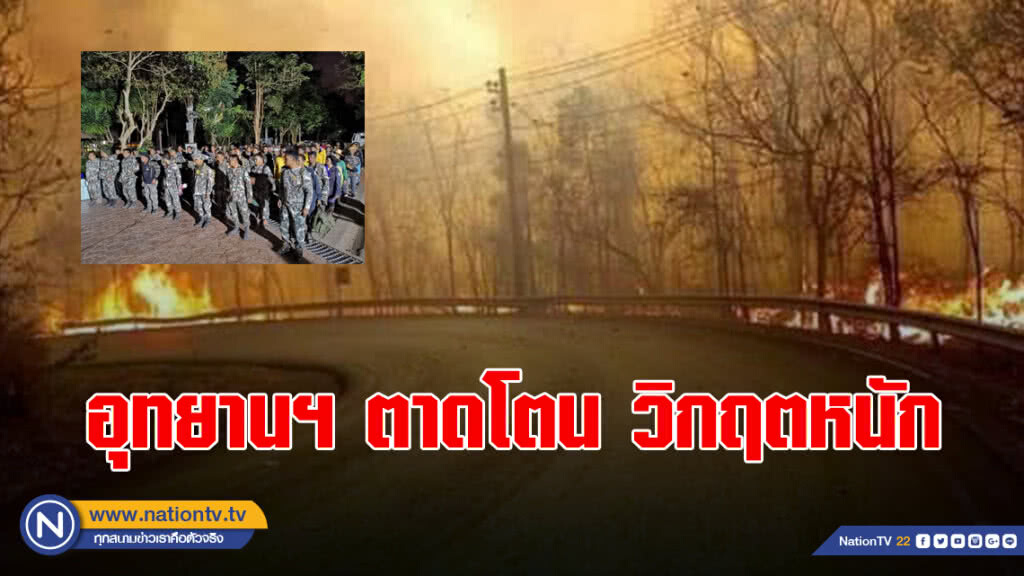 อุทยานฯ ตาดโตน วิกฤตหนัก เกิดไฟไหม้ข้างทาง เสียหาย 200 ไร่
