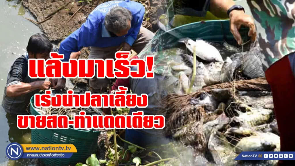 แล้งมาเร็ว เร่งนำปลาเลี้ยงขายสด-ปลาแดดเดียว แล้งมาเร็ว เร่งนำปลาเลี้ยงขายสด-ปลาแดดเดียว