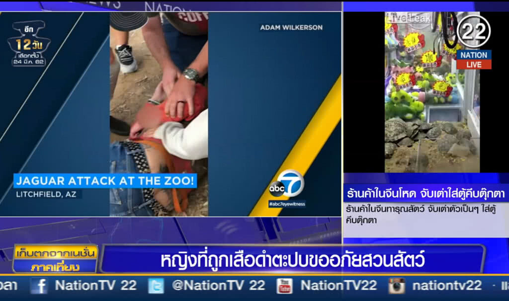 (คลิปข่าว) หญิงที่ถูกเสือดำตะปบ ขออภัยสวนสัตว์ (คลิปข่าว) หญิงที่ถูกเสือดำตะปบ ขออภัยสวนสัตว์