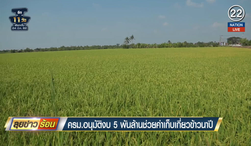 (คลิปข่าว) ครม.อนุมัติงบ 5 พันล้านช่วยค่าเก็บเกี่ยวข้าวนาปี (คลิปข่าว) ครม.อนุมัติงบ 5 พันล้านช่วยค่าเก็บเกี่ยวข้าวนาปี