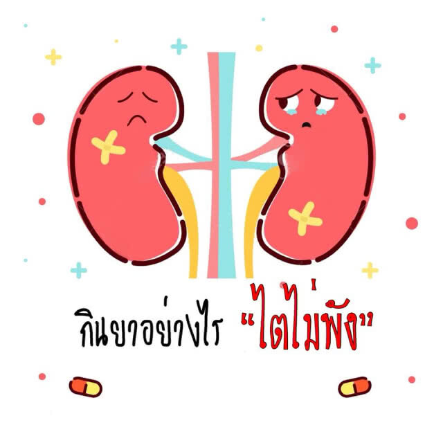 กินยาอย่างไร...ไตไม่พัง?