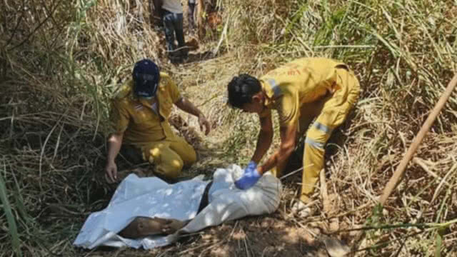 พบศพ9ขวบฝังไร่สับปะรด คาดพรานป่าอำพรางคดี