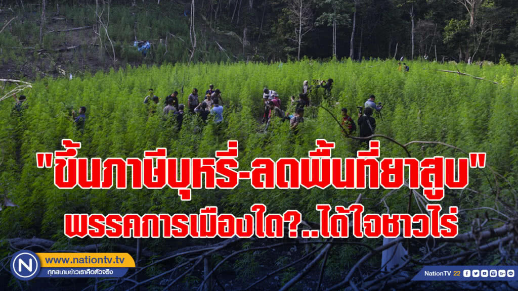 "ขึ้นภาษีบุหรี่-ลดพื้นที่ยาสูบ"พรรคการเมืองใด?..ได้ใจชาวไร่