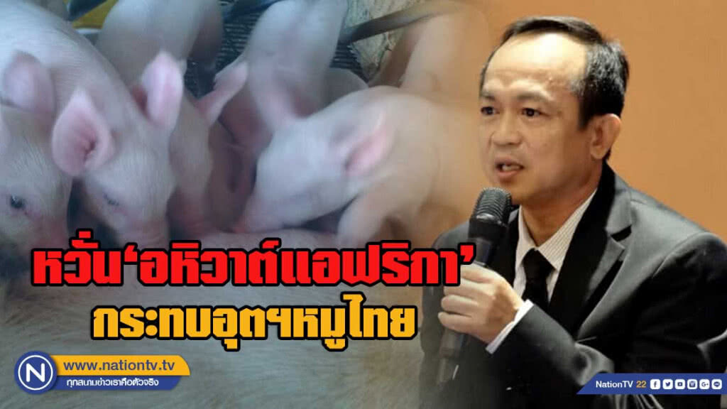 หวั่น'อหิวาต์แอฟริกา'กระทบอุตฯหมูไทย 2 แสนล้านบาท หวั่น'อหิวาต์แอฟริกา'กระทบอุตฯหมูไทย 2 แสนล้านบาท
