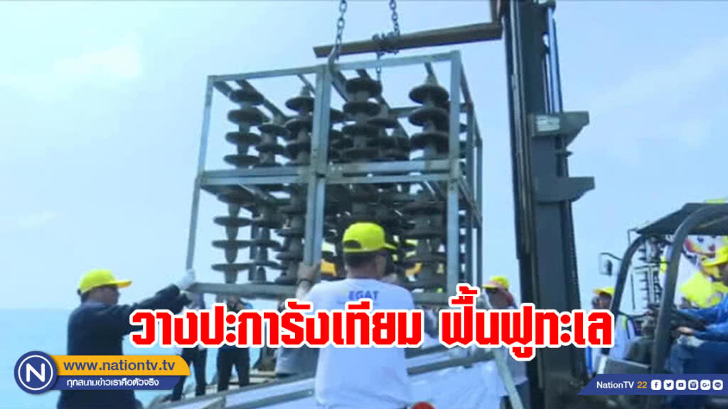วาง "ปะการังเทียม" จากลูกถ้วยฉนวนไฟฟ้า สร้างบ้านปลา วาง "ปะการังเทียม" จากลูกถ้วยฉนวนไฟฟ้า สร้างบ้านปลา