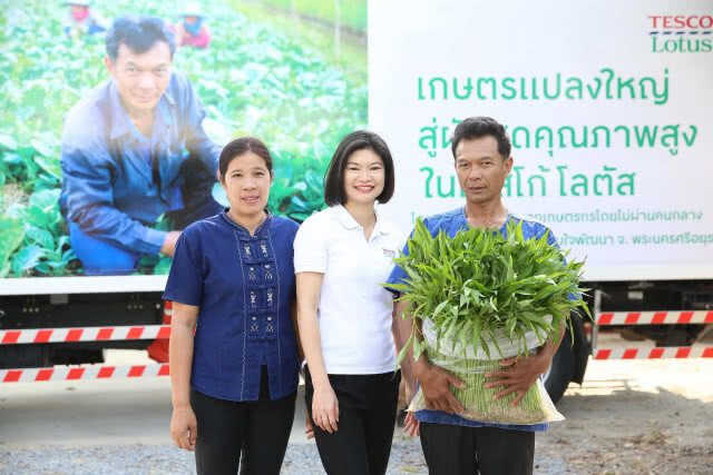 เทสโก้ โลตัส ผนึก ก.เกษตรฯ รับซื้อผักตรงจากเกษตรกร
