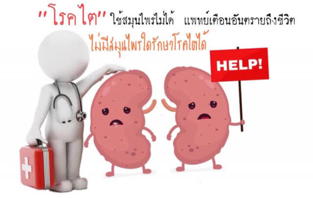 เปิด "สมุนไพร" อันตรายต่อผู้ป่วย "โรคไต"