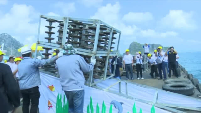 วาง "ปะการังเทียม" จากลูกถ้วยฉนวนไฟฟ้า สร้างบ้านปลา