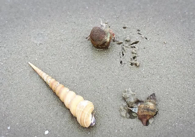 ไม่ได้อยู่ กรีซ ที่นี้คือหัวหิน!! หนีร้อนแล้วมาพักที่ "รีสอร์ท เดอ พาสคานี"