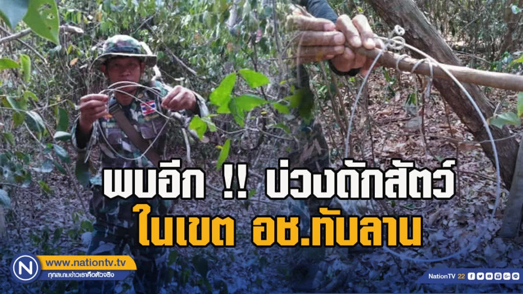 พบอีก !! บ่วงดักสัตว์ในเขตอุทยานแห่งชาติทับลาน ด้าน จนท. เร่งเก็บกู้ หวั่นเป็นอันตรายสัตว์ป่า