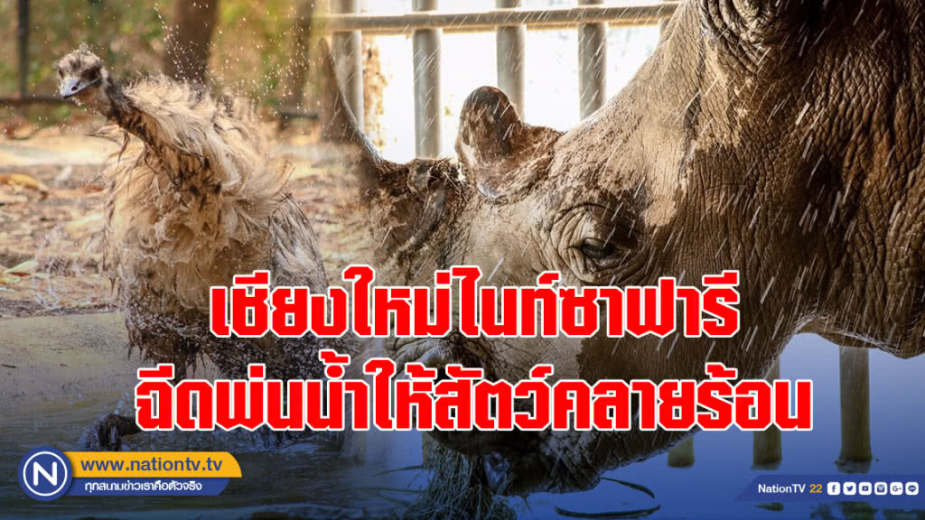 เชียงใหม่ไนท์ซาฟารีฉีดพ่นน้ำให้สัตว์คลายร้อน-ลดหมอกควัน