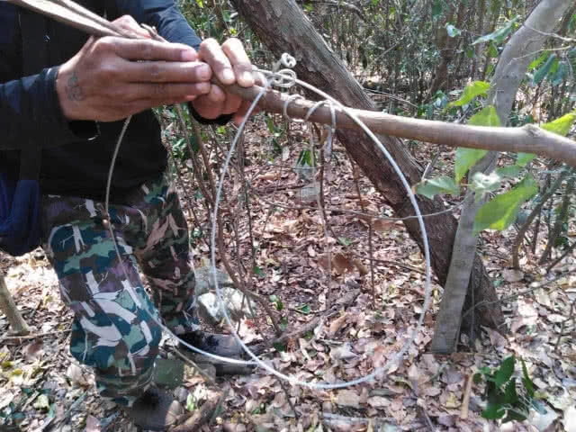 พบอีก !! บ่วงดักสัตว์ในเขตอุทยานแห่งชาติทับลาน ด้าน จนท. เร่งเก็บกู้ หวั่นเป็นอันตรายสัตว์ป่า