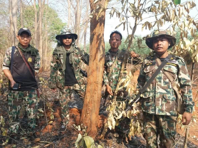 พบอีก !! บ่วงดักสัตว์ในเขตอุทยานแห่งชาติทับลาน ด้าน จนท. เร่งเก็บกู้ หวั่นเป็นอันตรายสัตว์ป่า