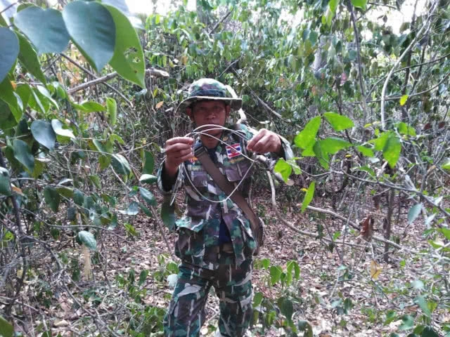 พบอีก !! บ่วงดักสัตว์ในเขตอุทยานแห่งชาติทับลาน ด้าน จนท. เร่งเก็บกู้ หวั่นเป็นอันตรายสัตว์ป่า