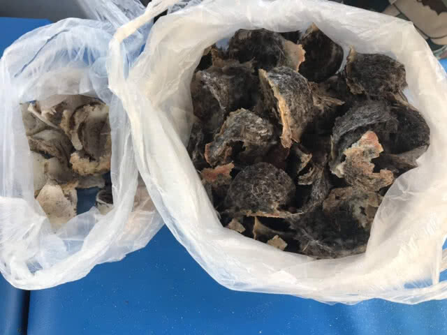 ยึดเรือพร้อมรังนก! กลางอุทยานแห่งชาติหมู่เกาะลันตา  จับกุมผู้กระทำผิดตาม พ.ร.บ.อุทยานฯ