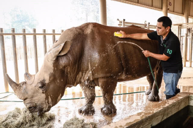 เชียงใหม่ไนท์ซาฟารีฉีดพ่นน้ำให้สัตว์คลายร้อน-ลดหมอกควัน