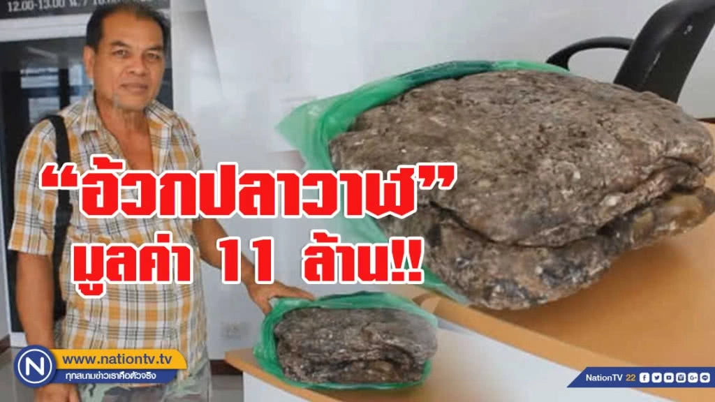 เก็บ"อ้วกปลาวาฬ" 25 ปี เพิ่งรู้มูลค่ากว่า 11ล้าน!!
