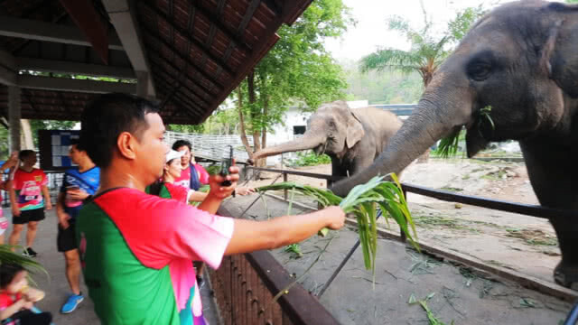 5,000 นักวิ่ง ร่วมกิจกรรม"KhaoKheow10" ซีซั่น 4