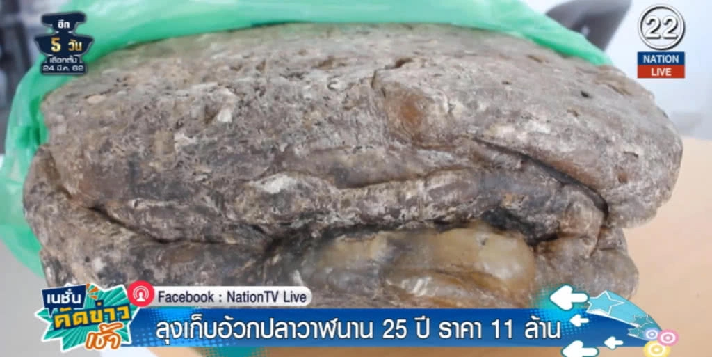(คลิปข่าว) เก็บ "อ้วกวาฬ" นาน 25 ปีเพิ่งรู้มีราคา 11 ล้านบาท