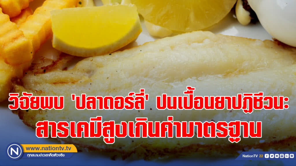 วิจัยพบ​ 'ปลาดอร์ลี่'​ ปนเปื้อนยาปฏิชีวนะและสารเคมีสูง​เกินค่ามาตรฐาน​ 25​ จาก​ 100​ ตัวอย่าง