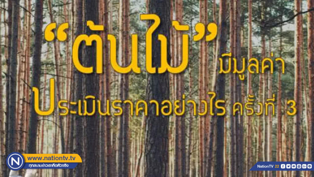 พาณิชย์เดินหน้าให้ความรู้การนำไม้มีค่ามาเป็นหลักประกันทางธุรกิจ