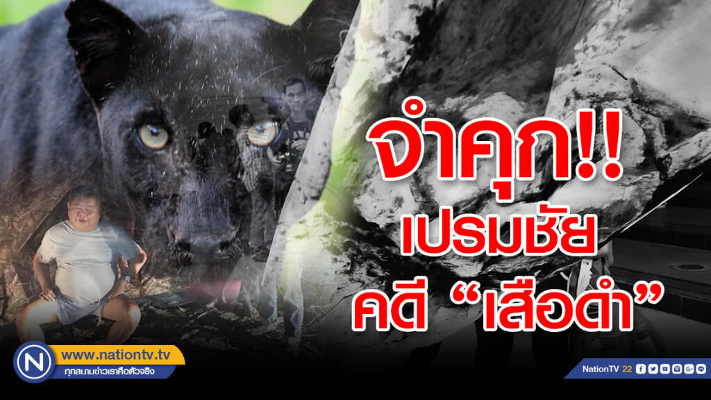 "เปรมชัย" คอตก! ศาลสั่งจำคุก คดี #เสือดำ