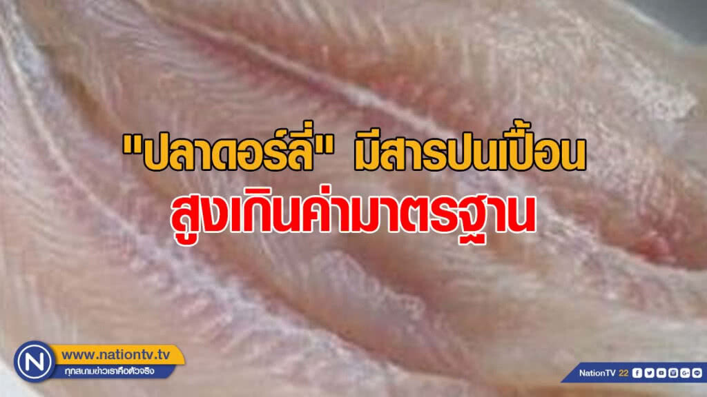 ผลวิจัยพบ "ปลาดอร์ลี่" มีสารปนเปื้อนสูงเกินค่ามาตรฐาน แม้ทำให้สุกก็อาจยังไม่สลาย