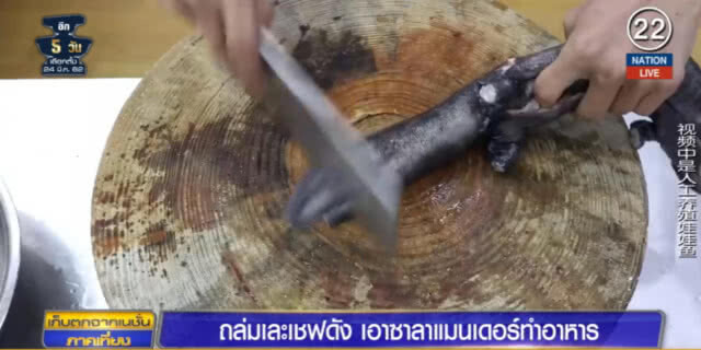 (คลิปข่าว) ด่ายับ "เชฟดังชาวจีน" เอาซาลาแมนเดอร์ทุบหัว ก่อนต้มน้ำทั้งที่ยังไม่ตาย
